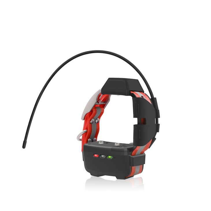 Miniobroża GPS dla psa